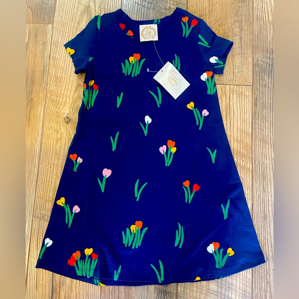 NWT The Beaufort Bonnet Company Polly Play Dress, Size 5